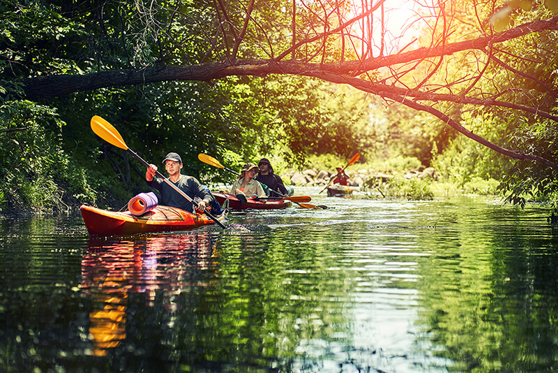 Rapid Kayak - spływy kajakowe Wieprza